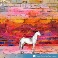 Horse Color:Gray Buckskin Dun Tobiano Brindle