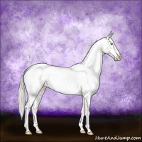 Horse Color:Cremello Dun Sabino Near Leopard Brindle 