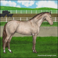 Horse Color:Brown Pearl Dun Mushroom Brindle 