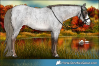Horse Color:Liver Red Roan Sabino 