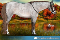 Horse Color:Liver Red Roan Sabino Rabicano