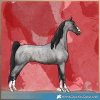 Horse Color:Brown Roan 