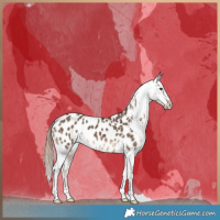 Horse Color:Liver Red Dun Near Leopard Brindle 