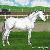 Horse Color:Liver Red Dun Sabino Splash