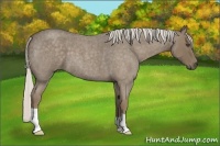 Horse Color:Silver Smoky Blue Roan 