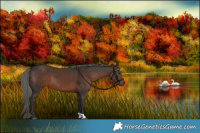 Horse Color:Liver Chestnut Mushroom 