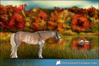 Horse Color:Chocolate Palomino Sabino Rabicano