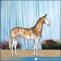 Horse Color:White Spotted Chocolate Palomino Onyx Splash Brindle 