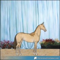 Horse Color:Classic Cream Champagne Dun