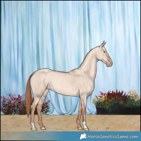 Horse Color:Gold Champagne Dun Brindle 