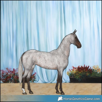 Horse Color:Silver Brown Roan 