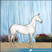 Horse Color:Gray Smoky Grullo Roan Pearl Sabino Varnish 