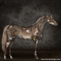 Horse Color:White Spotted Liver Red Dun Ice 