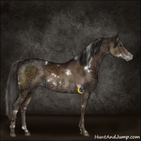 Horse Color:White Spotted Liver Chestnut Ice 