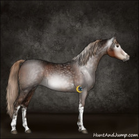 Horse Color:Gray White Spotted Liver Chestnut Ice Tobiano 