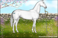 Horse Color:Gray Platinum Buckskin Dun Sabino Splash 