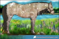 Horse Color:Plaid  White Spotted Liver Red Dun Ice 