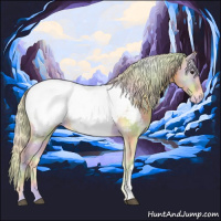 Horse Color:Nacre Watercolor Silver Buckskin Onyx Appaloosa Rabicano 