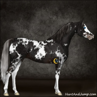 Horse Color:White Spotted Liver Chestnut Ice Splash 