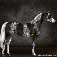 Horse Color:White Spotted Midnight Liver Chestnut Ice Mushroom 