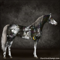 Horse Color:White Spotted Midnight Chocolate Palomino Ice Mushroom