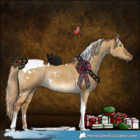 Horse Color:White Spotted Chocolate Palomino Dun Tobiano