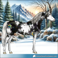 Horse Color:Gray White Spotted Midnight Liver Chestnut Ice Mushroom Splash