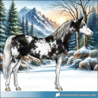 Horse Color:Gray White Spotted Midnight Liver Chestnut Ice Mushroom Splash 