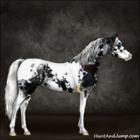 Horse Color:White Spotted Midnight Liver Chestnut Ice Mushroom Splash Tobiano 
