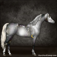 Horse Color:Gray White Spotted Midnight Liver Red Dun Ice Mushroom Tobiano 