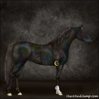Horse Color:Midnight Liver Red Dun Ice Brindle 