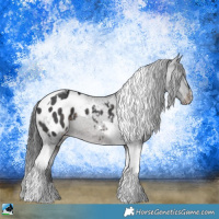 Horse Color:Platinum Brown Tobiano Appaloosa Rabicano