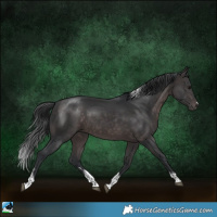Horse Color:Platinum Brown Tobiano 