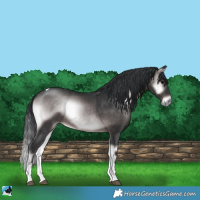 Horse Color:Platinum Brown Onyx Tobiano Rabicano 