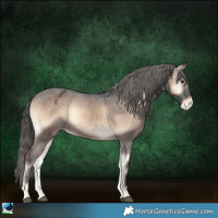 Horse Color:Liver Red Onyx Appaloosa