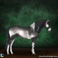 Horse Color:Platinum Brown Onyx Tobiano Rabicano 
