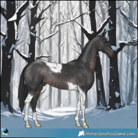 Horse Color:Platinum Brown Mushroom Tobiano 