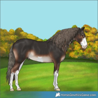 Horse Color:White Spotted Liver Chestnut Mushroom 
