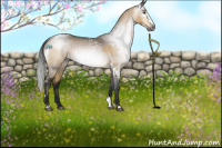 Horse Color:Gray Buckskin Dun Splash Tobiano Varnish  and Gray Brown Dun Splash Varnish 