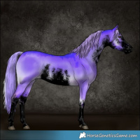 Horse Color:Void Watercolor White Spotted Chocolate Palomino Onyx 