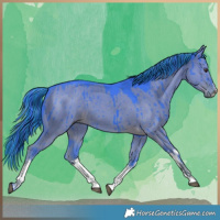 Horse Color:Painted Watercolor White Spotted Liver Red Dun Brindle 