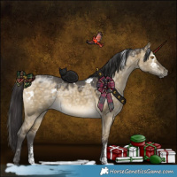 Horse Color:White Spotted Buckskin Ice Dun Sabino 