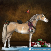 Horse Color:Chocolate Palomino Dun Sabino 