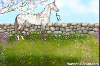 Horse Color:Gray Perlino Dun Near Leopard Rabicano 