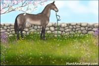 Horse Color:Brown Dun Snowflake Varnish 