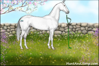 Horse Color:Gray Platinum Buckskin Dun Sabino Tobiano Appaloosa Rabicano 