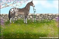 Horse Color:Brown Dun Sabino Blanket Rabicano 