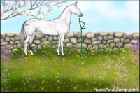 Horse Color:Gray Brown Dun Sabino Tobiano Near Leopard