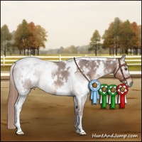 Horse Color:White Spotted Liver Red Roan 