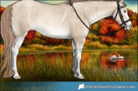 Horse Color:White Spotted Liver Red Dun Pearl Brindle 